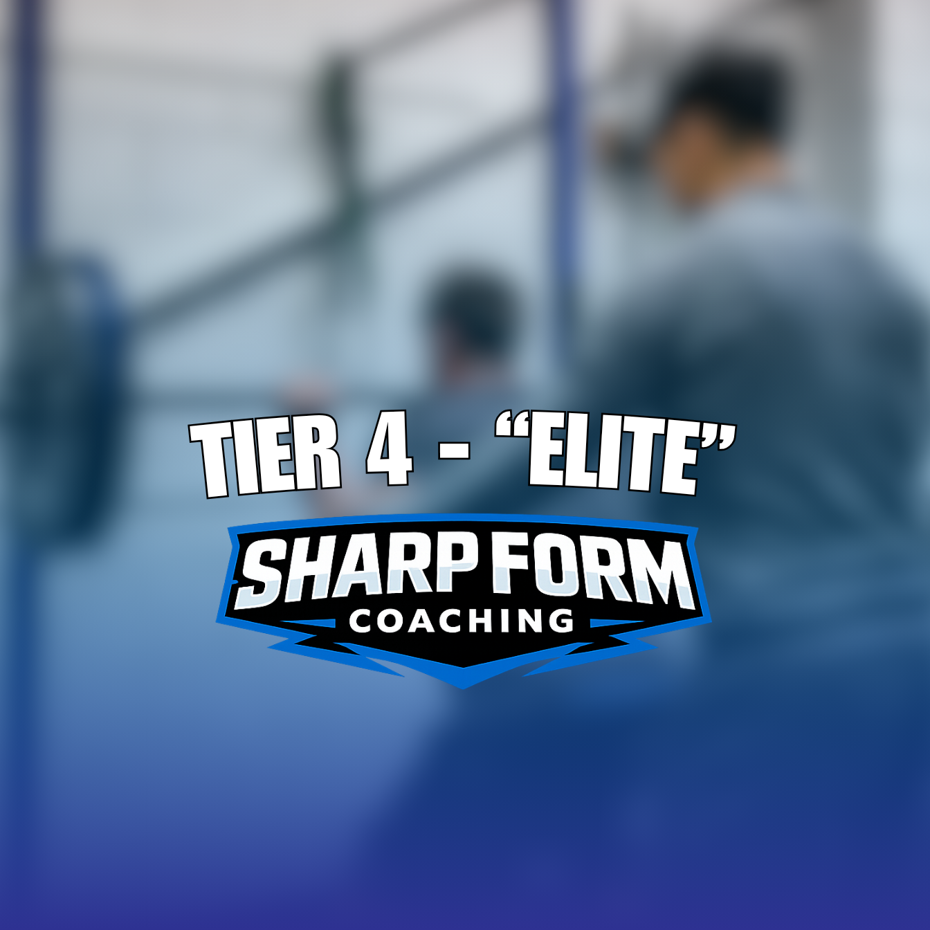 PT Tier 4 - "ELITE" - £375/m