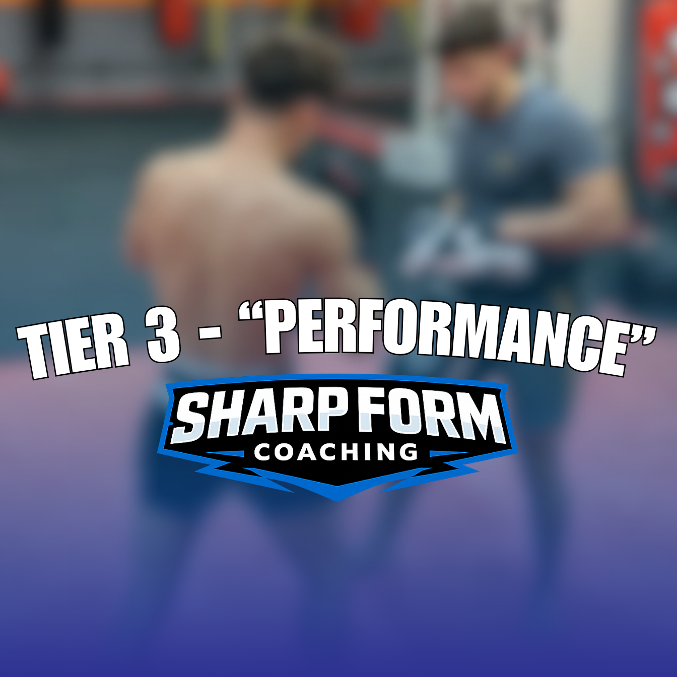 Hybrid Tier 3 - "PERFORMANCE" - £445/m