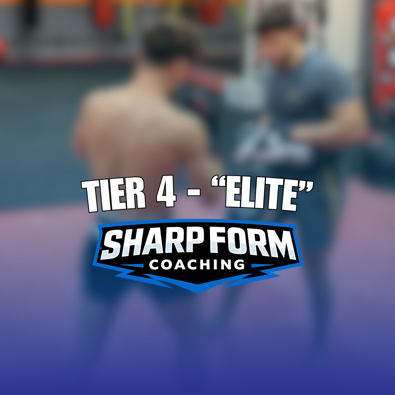 Hybrid Tier 4 - "ELITE" - £550/m